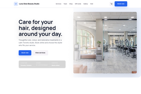 Professional Care website preview